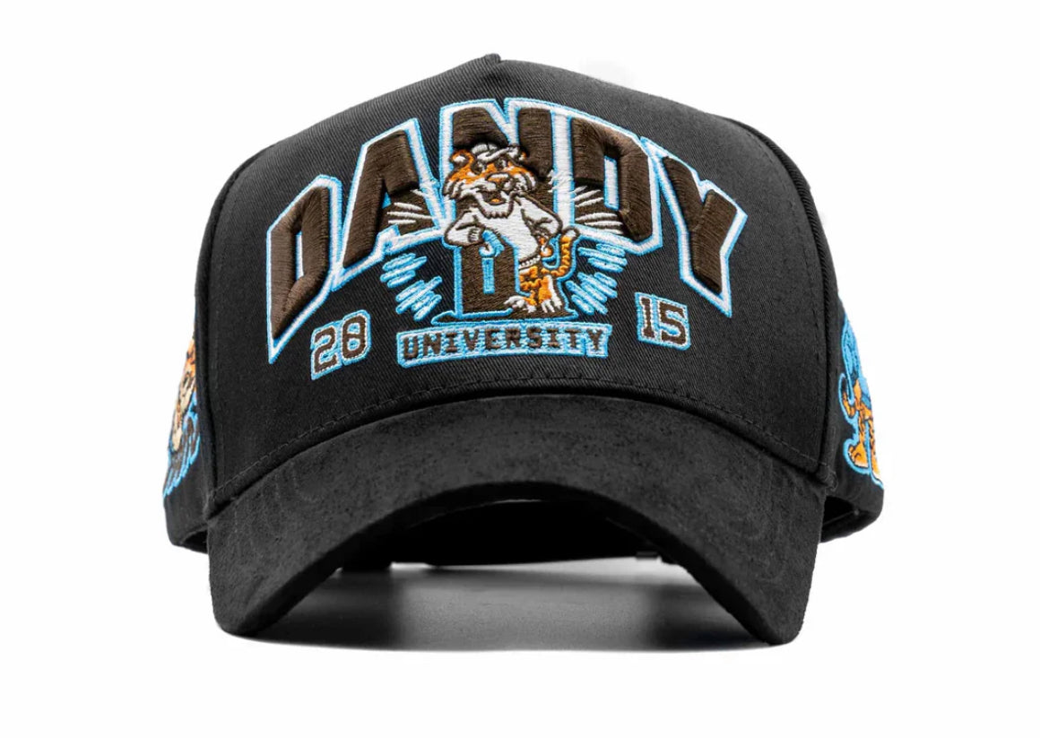 Dandy University