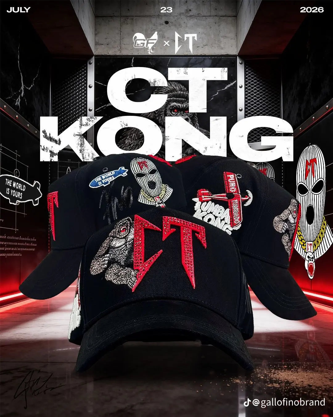 CT KONG - FINO X CT