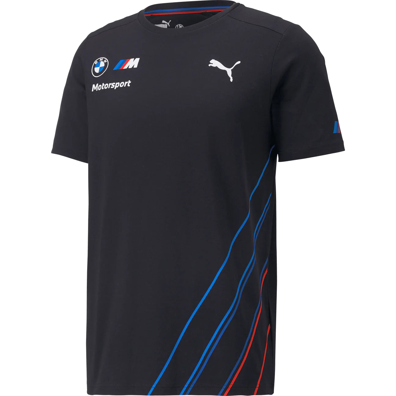 BMW Motorsports Men's Team T-Shirt- Gray